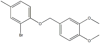 2-bromo-1-[(3,4-dimethoxyphenyl)methoxy]-4-methylbenzene Struktur