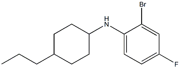 2-bromo-4-fluoro-N-(4-propylcyclohexyl)aniline Struktur