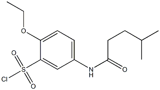 2-ethoxy-5-(4-methylpentanamido)benzene-1-sulfonyl chloride 化学構造式