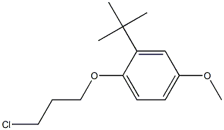  2-tert-butyl-1-(3-chloropropoxy)-4-methoxybenzene