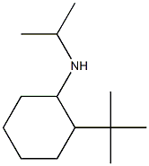 2-tert-butyl-N-(propan-2-yl)cyclohexan-1-amine Structure