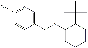 2-tert-butyl-N-[(4-chlorophenyl)methyl]cyclohexan-1-amine,,结构式