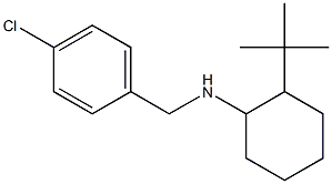 2-tert-butyl-N-[(4-chlorophenyl)methyl]cyclohexan-1-amine