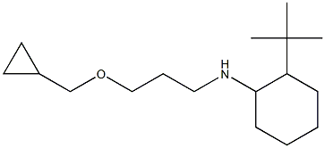 2-tert-butyl-N-[3-(cyclopropylmethoxy)propyl]cyclohexan-1-amine,,结构式