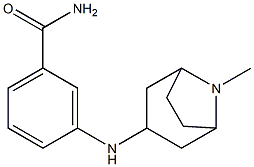 3-({8-methyl-8-azabicyclo[3.2.1]octan-3-yl}amino)benzamide,,结构式