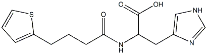 3-(1H-imidazol-4-yl)-2-[4-(thiophen-2-yl)butanamido]propanoic acid Struktur