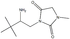 3-(2-amino-3,3-dimethylbutyl)-1-methylimidazolidine-2,4-dione Structure