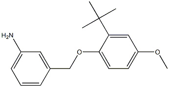 3-(2-tert-butyl-4-methoxyphenoxymethyl)aniline 化学構造式