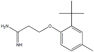 3-(2-tert-butyl-4-methylphenoxy)propanimidamide,,结构式