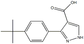3-(4-tert-butylphenyl)-1H-pyrazole-4-carboxylic acid 化学構造式