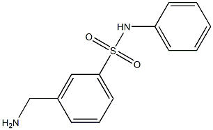 3-(aminomethyl)-N-phenylbenzenesulfonamide Structure