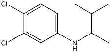 3,4-dichloro-N-(3-methylbutan-2-yl)aniline Structure