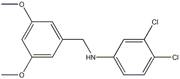 3,4-dichloro-N-[(3,5-dimethoxyphenyl)methyl]aniline,,结构式