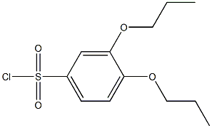 3,4-dipropoxybenzenesulfonyl chloride Struktur