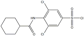 3,5-dichloro-4-cyclohexaneamidobenzene-1-sulfonyl chloride