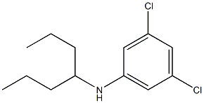 3,5-dichloro-N-(heptan-4-yl)aniline 化学構造式