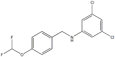 3,5-dichloro-N-{[4-(difluoromethoxy)phenyl]methyl}aniline 化学構造式