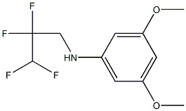 3,5-dimethoxy-N-(2,2,3,3-tetrafluoropropyl)aniline 化学構造式