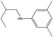 3,5-dimethyl-N-(2-methylbutyl)aniline 结构式