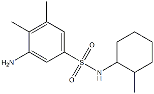  3-amino-4,5-dimethyl-N-(2-methylcyclohexyl)benzene-1-sulfonamide