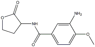 3-amino-4-methoxy-N-(2-oxooxolan-3-yl)benzamide Struktur