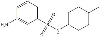 3-amino-N-(4-methylcyclohexyl)benzenesulfonamide Structure