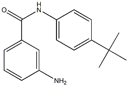  3-amino-N-(4-tert-butylphenyl)benzamide