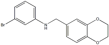 3-bromo-N-(2,3-dihydro-1,4-benzodioxin-6-ylmethyl)aniline Struktur