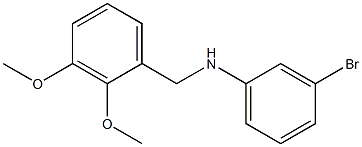 3-bromo-N-[(2,3-dimethoxyphenyl)methyl]aniline Structure