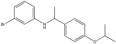 3-bromo-N-{1-[4-(propan-2-yloxy)phenyl]ethyl}aniline,,结构式