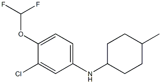3-chloro-4-(difluoromethoxy)-N-(4-methylcyclohexyl)aniline 化学構造式