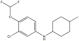  3-chloro-4-(difluoromethoxy)-N-(4-methylcyclohexyl)aniline