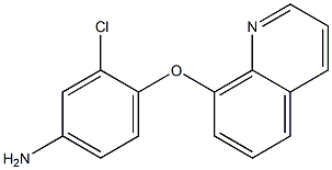 3-chloro-4-(quinolin-8-yloxy)aniline,,结构式