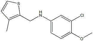 3-chloro-4-methoxy-N-[(3-methylthiophen-2-yl)methyl]aniline Struktur