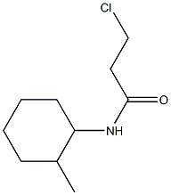 3-chloro-N-(2-methylcyclohexyl)propanamide 化学構造式