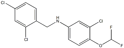 3-chloro-N-[(2,4-dichlorophenyl)methyl]-4-(difluoromethoxy)aniline