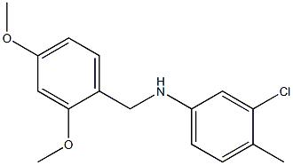 3-chloro-N-[(2,4-dimethoxyphenyl)methyl]-4-methylaniline,,结构式