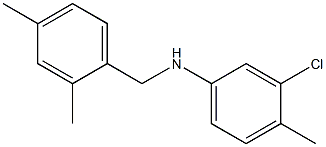 3-chloro-N-[(2,4-dimethylphenyl)methyl]-4-methylaniline,,结构式