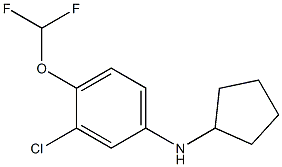 3-chloro-N-cyclopentyl-4-(difluoromethoxy)aniline Structure