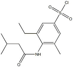 3-ethyl-5-methyl-4-(3-methylbutanamido)benzene-1-sulfonyl chloride Structure