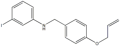 3-iodo-N-{[4-(prop-2-en-1-yloxy)phenyl]methyl}aniline,,结构式