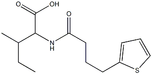 3-methyl-2-[4-(thiophen-2-yl)butanamido]pentanoic acid Struktur