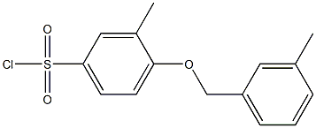 3-methyl-4-[(3-methylphenyl)methoxy]benzene-1-sulfonyl chloride 化学構造式