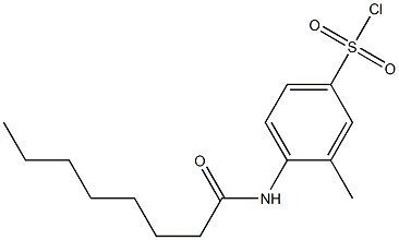 3-methyl-4-octanamidobenzene-1-sulfonyl chloride 结构式