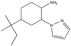4-(1,1-dimethylpropyl)-2-(1H-pyrazol-1-yl)cyclohexanamine,,结构式