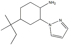  4-(1,1-dimethylpropyl)-2-(1H-pyrazol-1-yl)cyclohexanamine