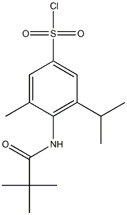 4-(2,2-dimethylpropanamido)-3-methyl-5-(propan-2-yl)benzene-1-sulfonyl chloride 结构式