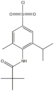 4-(2,2-dimethylpropanamido)-3-methyl-5-(propan-2-yl)benzene-1-sulfonyl chloride|