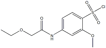 4-(2-ethoxyacetamido)-2-methoxybenzene-1-sulfonyl chloride Struktur