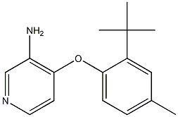 4-(2-tert-butyl-4-methylphenoxy)pyridin-3-amine|